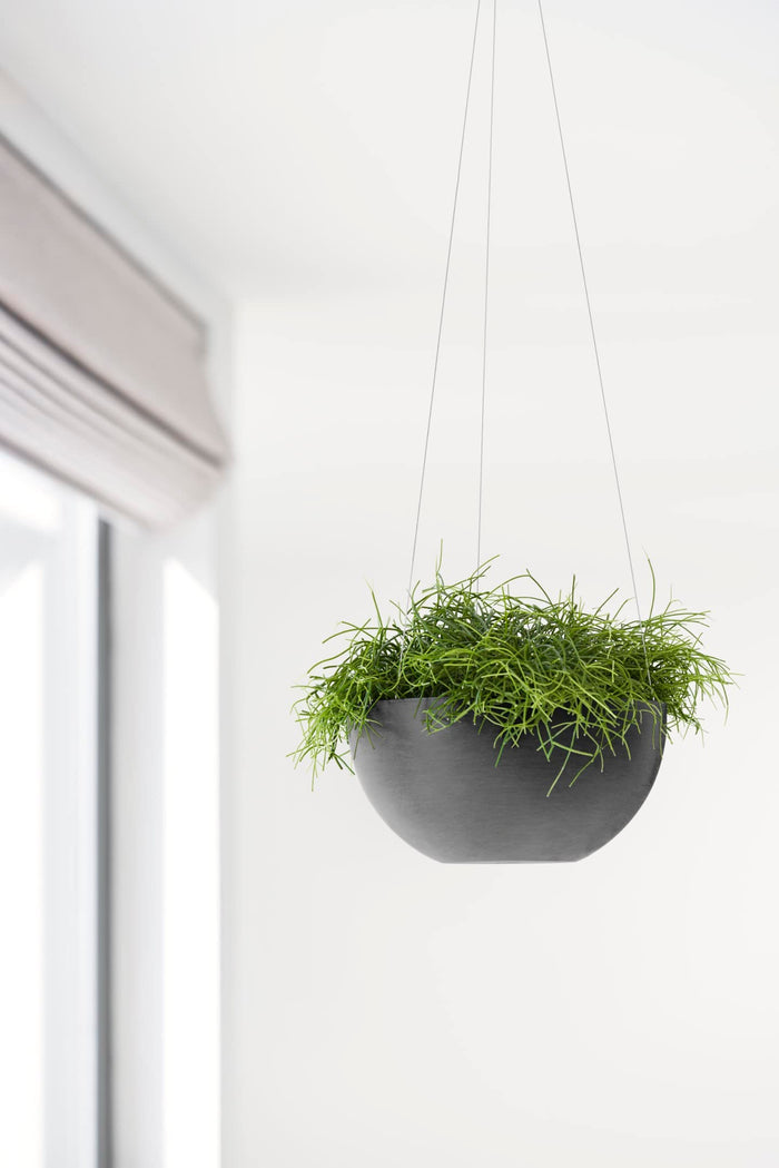 Hanging Brussels Small Bowl Planter - 13 in x 13 in x 6.5 in - Dark Grey - Dark Grey,13 in x 13 in x 6.5 in