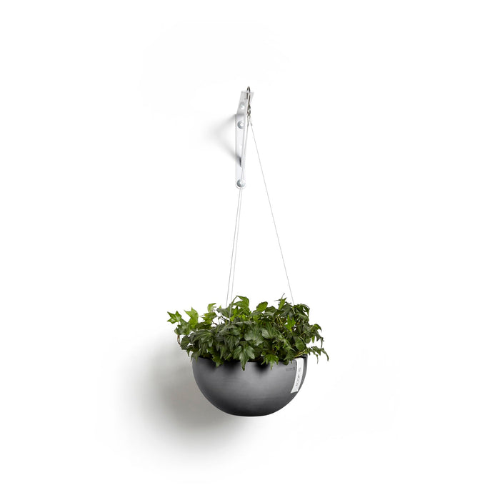 Hanging Brussels Small Bowl Planter - 13 in x 13 in x 6.5 in - Grey - Grey,13 in x 13 in x 6.5 in