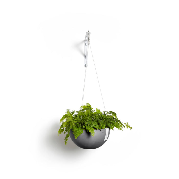 Hanging Brussels Small Bowl Planter - 13 in x 13 in x 6.5 in - Grey - Grey,13 in x 13 in x 6.5 in