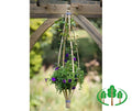 Hanging Flowerbell