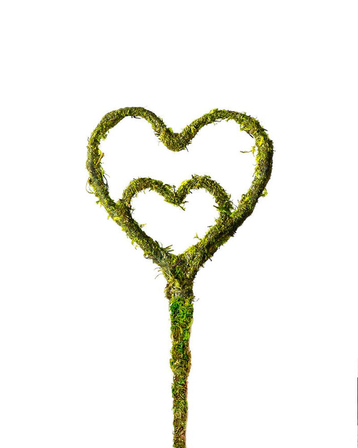 Heart Shaped Moss Pick