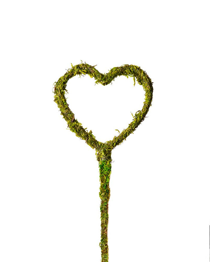 Heart Shaped Moss Pick