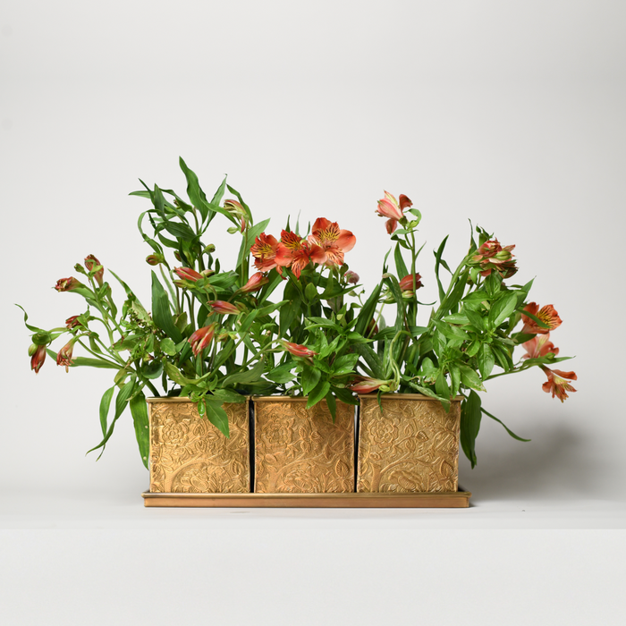 Herb & Bloom Handcrafted Brass Planters with Tray – Set of 3