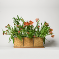 Herb & Bloom Handcrafted Brass Planters with Tray – Set of 3