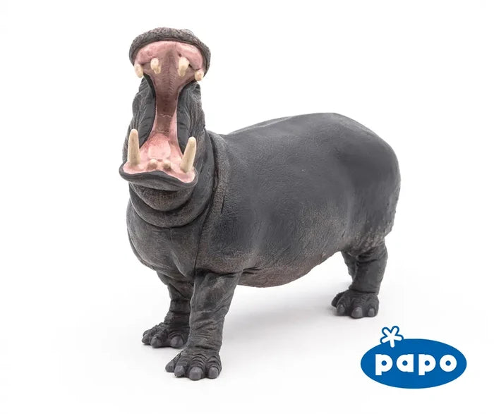 Hippopotamus