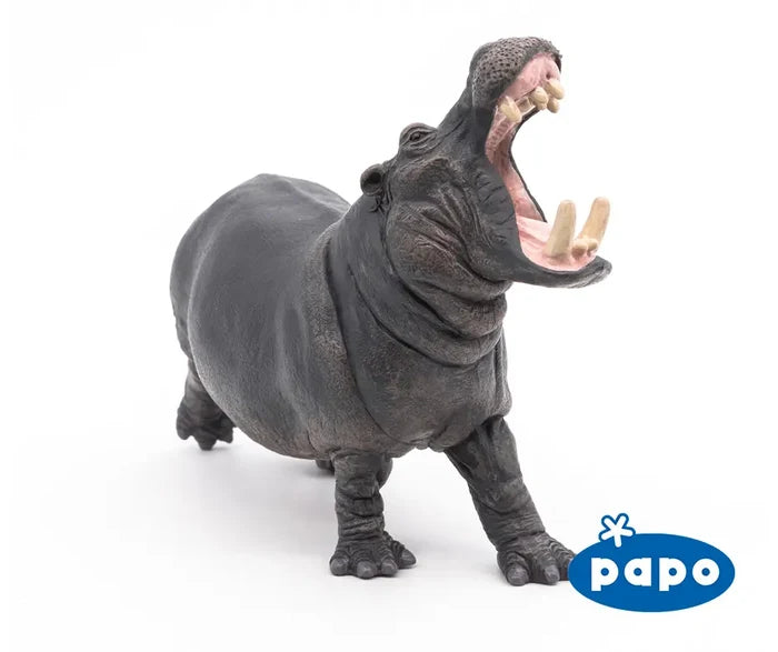 Hippopotamus