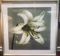 K Cutter Print
