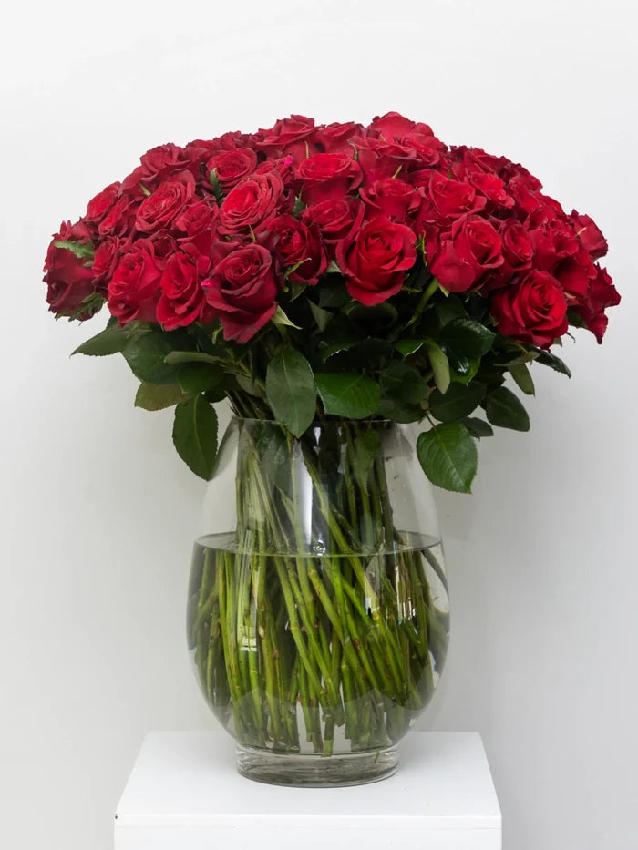 Bouquet of red roses in a clear vase on a white background