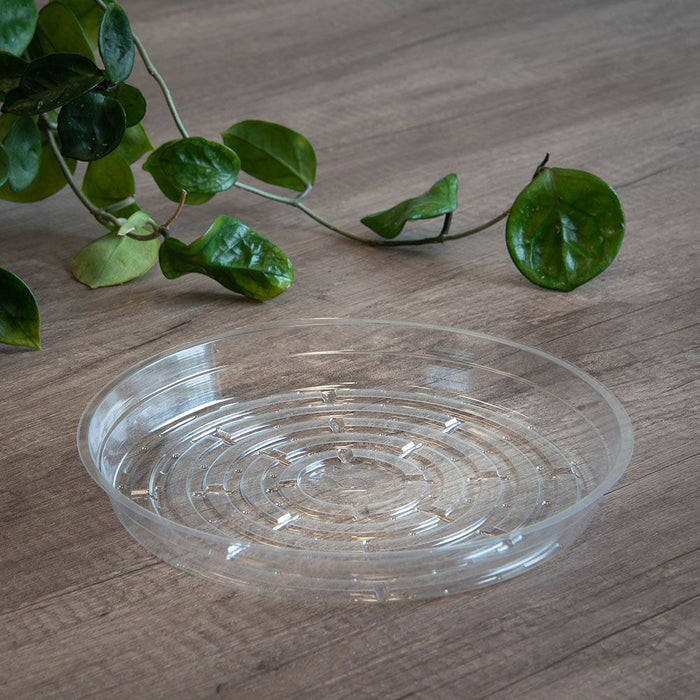 Low Shallow Clear Vinyl Plant Saucers - 11in - Pack of 50 - 11",Pack of 50
