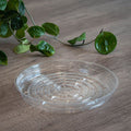 Low Shallow Clear Vinyl Plant Saucers - 12in - Pack of 25 - 12",Pack of 25