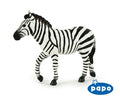 Male Zebra