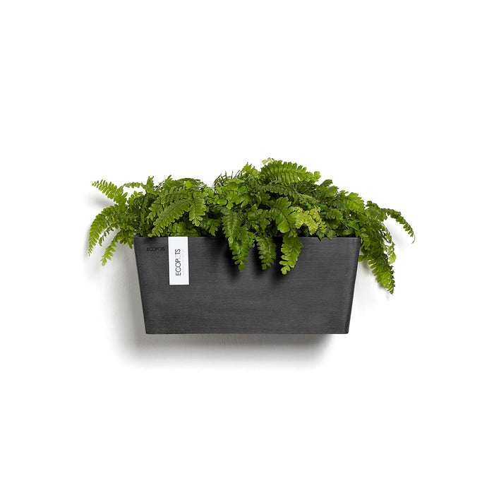 Manhattan Medium Rectangle Wall Planter - 13.75 in x 6.75 in x 6 in - Dark Grey - Dark Grey,13.75 in x 6.75 in x 6 in