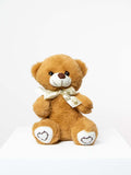 Cute teddy bear with a decorative ribbon, representing products from local South African florists. Product may vary by region.