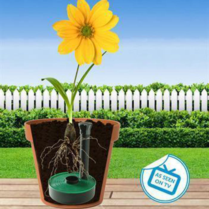 Mona Plant Sipper with Round insert