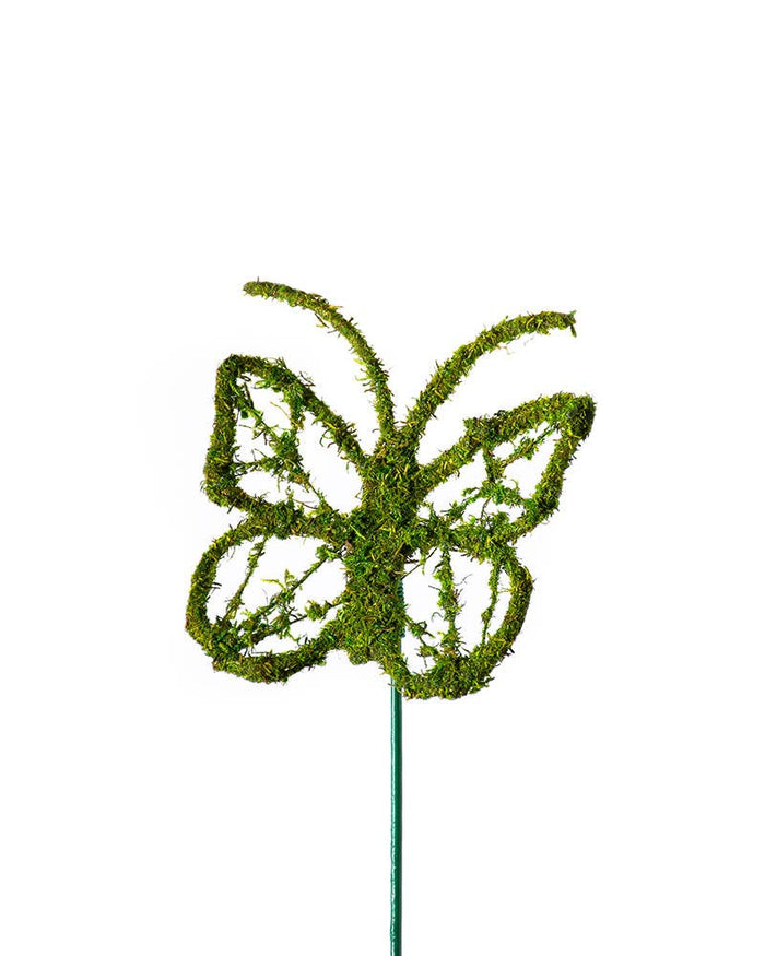 Monarch Moss Pick