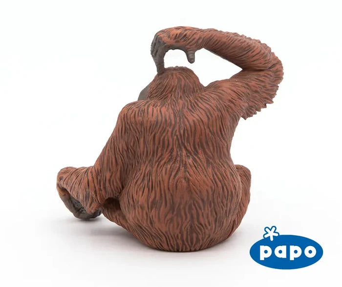 Orangutan