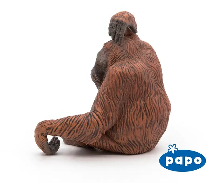 Orangutan