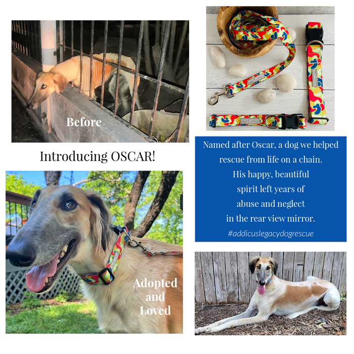 Oscar Complete Walking Set