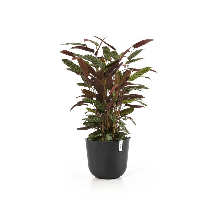 Oslo Small Round Planter - 13.8 in x 13.8 in x 12 in - Dark Grey - Dark Grey,13.75 in x 13.75 in x 12 in,Planter Only