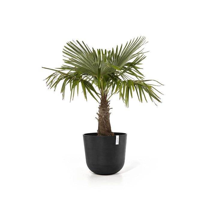 Oslo Medium Round Planter - 21.5 in x 21.5 in x 19 in - Dark Grey - Dark Grey,21.5 in x 21.5 in x 19 in,Planter Only