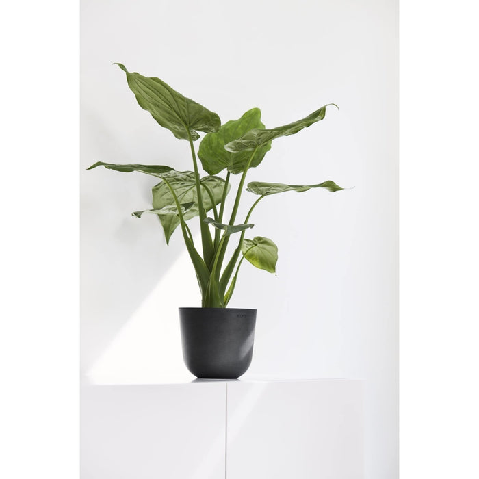 Oslo Medium Round Planter - 21.5 in x 21.5 in x 19 in - Dark Grey - Dark Grey,21.5 in x 21.5 in x 19 in,Planter Only