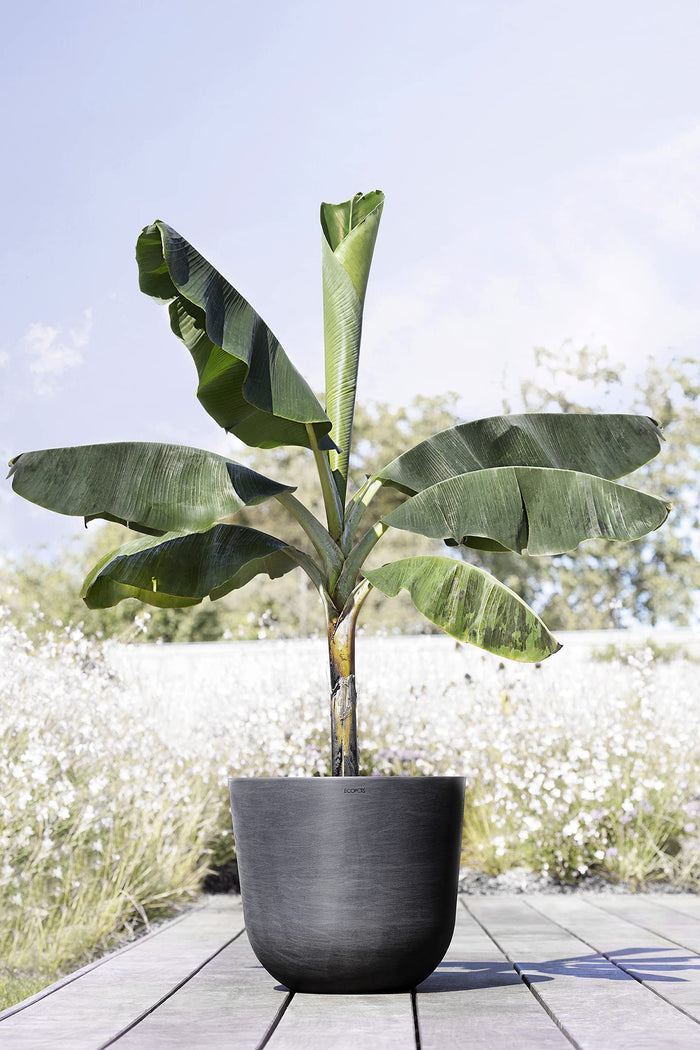 Oslo Medium Round Planter - 21.5 in x 21.5 in x 19 in - Dark Grey - Dark Grey,21.5 in x 21.5 in x 19 in,Planter Only