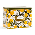 Paper Farm Press Orange Orchard Recipe Box