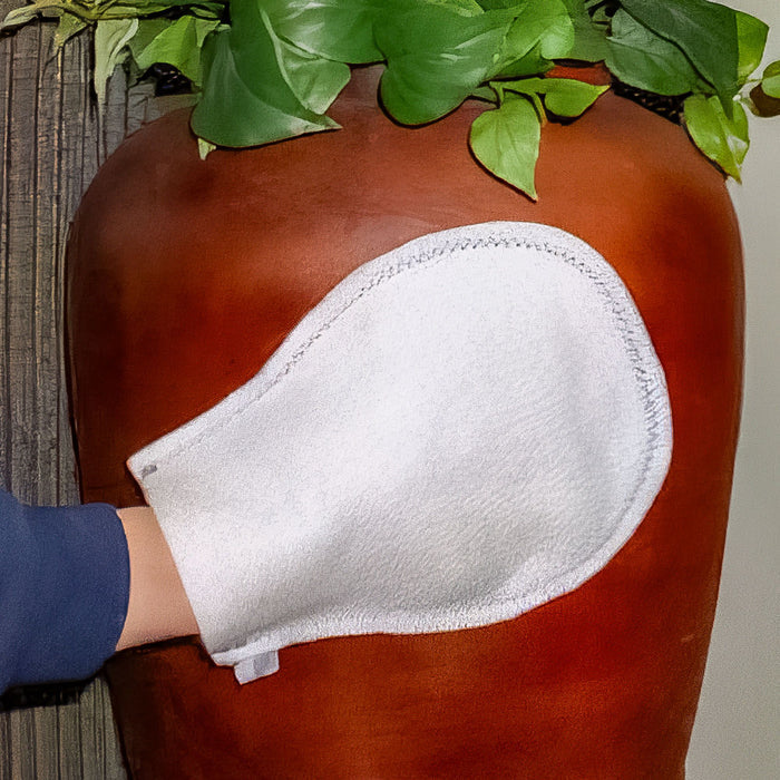 Plant Paws - Plant Cleaning Mittens - Mega Paw - Mega