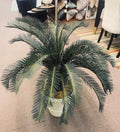 Plant