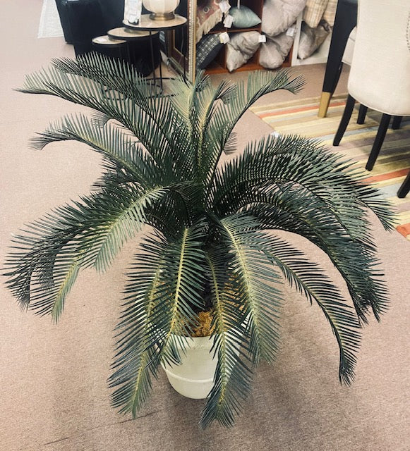 Plant