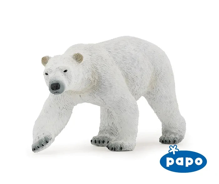 Polar Bear