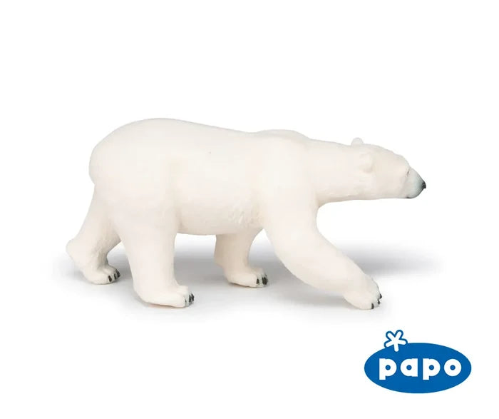 Polar Bear