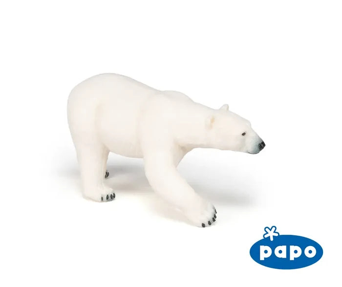 Polar Bear