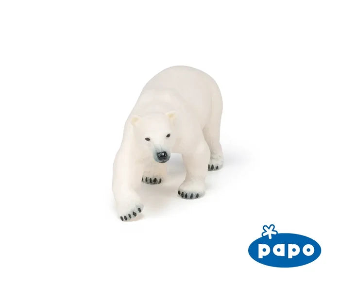 Polar Bear