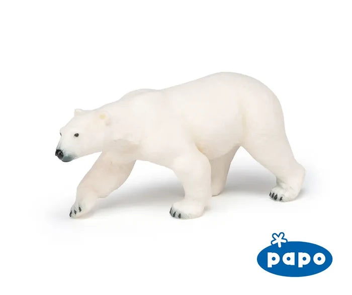 Polar Bear