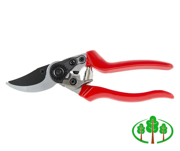 Professional Pruner