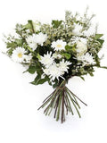 Pure white and green bouquet for sympathy or classic floral gifts, featuring seasonal variations, supporting local florists.