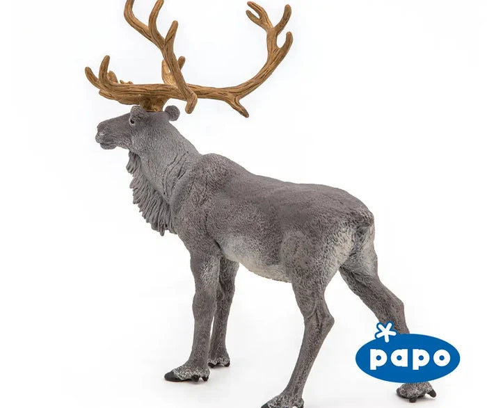 Reindeer