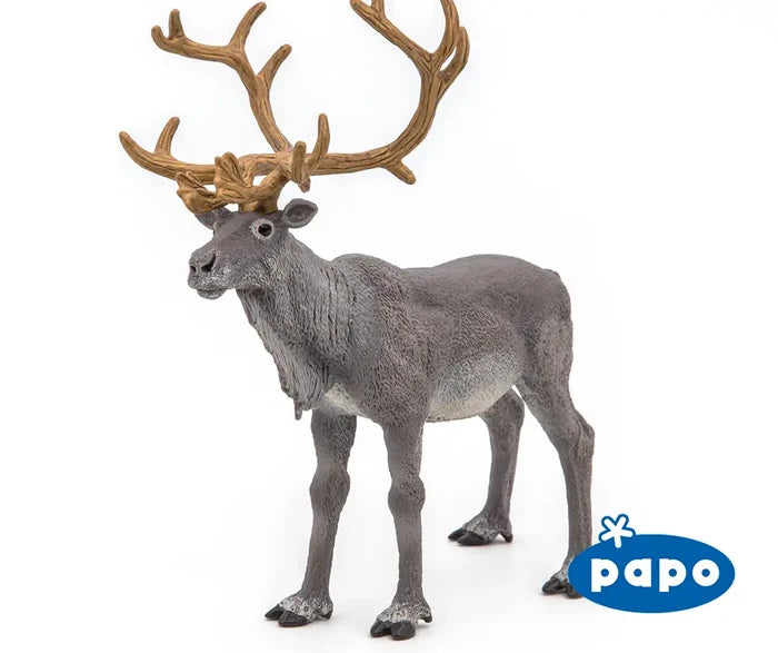 Reindeer