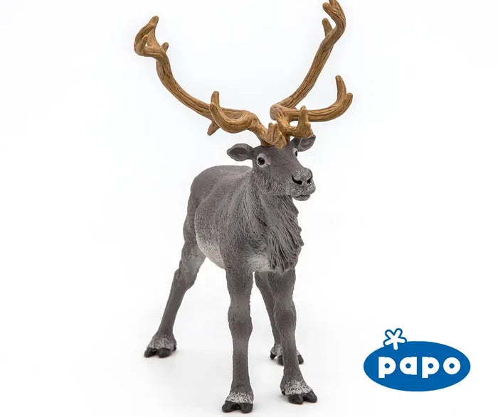 Reindeer