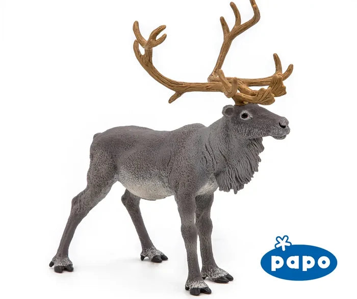 Reindeer