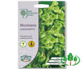 RHS-NICOTIANA langsdorffii