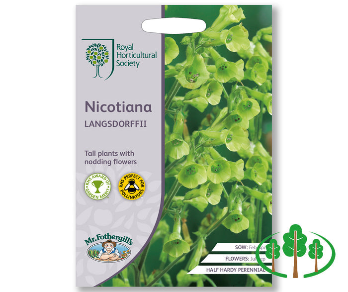 RHS-NICOTIANA langsdorffii