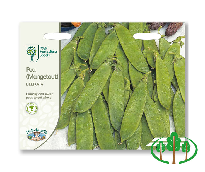 RHS-PEA (Mangetout) Delikata