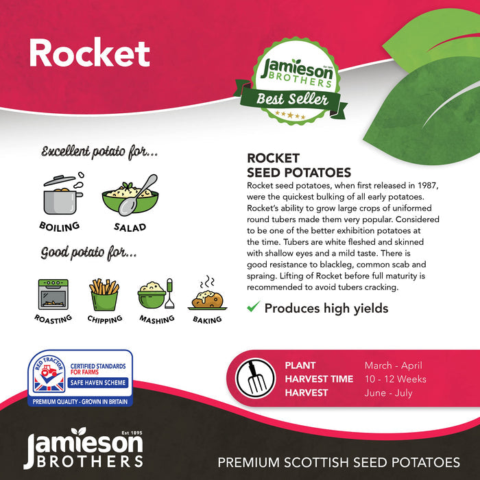 Rocket 2Kg