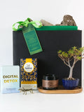 Root & Reflect Bonsai Gift Set featuring a Money Tree Bonsai, tea set, and wellness items for mindfulness and tranquility.