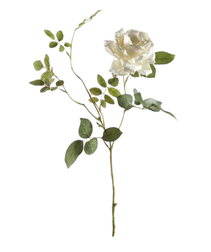 Rose Dianná