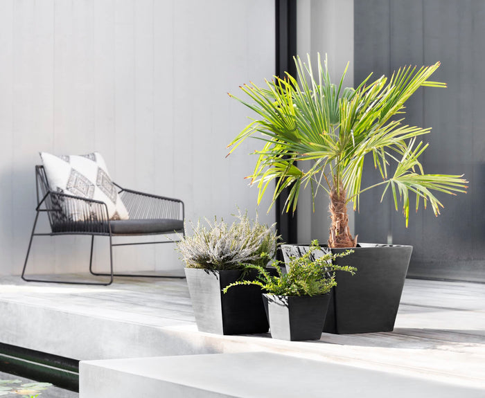 Rotterdam Small Square Planter - 11.75 in x 11.75 in x 10.25 in - Dark Grey - Dark Grey,11.75 in x 11.75 in x 10.25 in,Planter Only