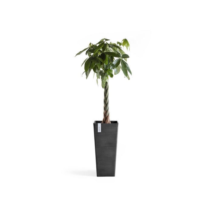 Rotterdam Medium Tall Square Planter - 12.6 in x 12.6 in x 27.5 in - Dark Grey - Dark Grey,12.5 in x 12.5 in x 27.5 in,Planter Only