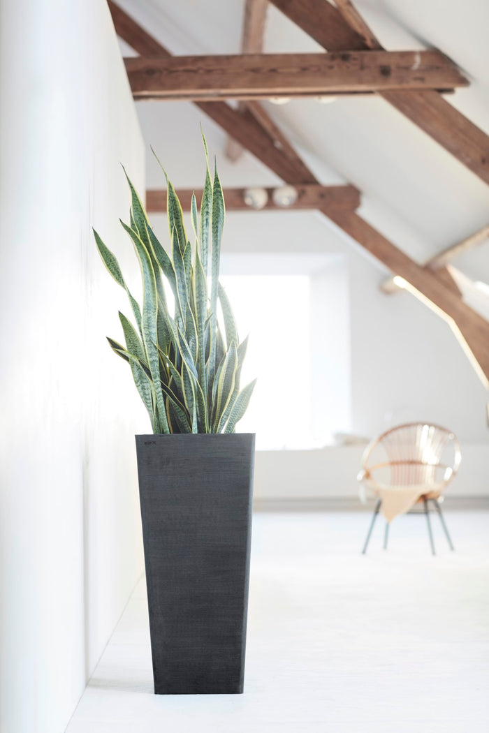Rotterdam Medium Tall Square Planter - 12.6 in x 12.6 in x 27.5 in - Dark Grey - Dark Grey,12.5 in x 12.5 in x 27.5 in,Planter Only